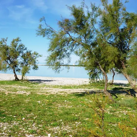 In Starigrad-paklenica 35542 Appartement