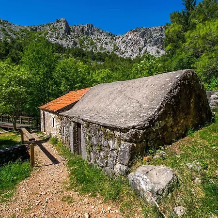 In Starigrad-paklenica 35542 アパート スタリグラード