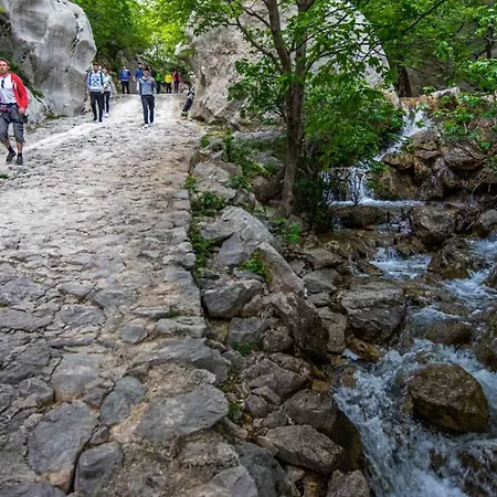 In Starigrad-paklenica 35542 Διαμέρισμα
